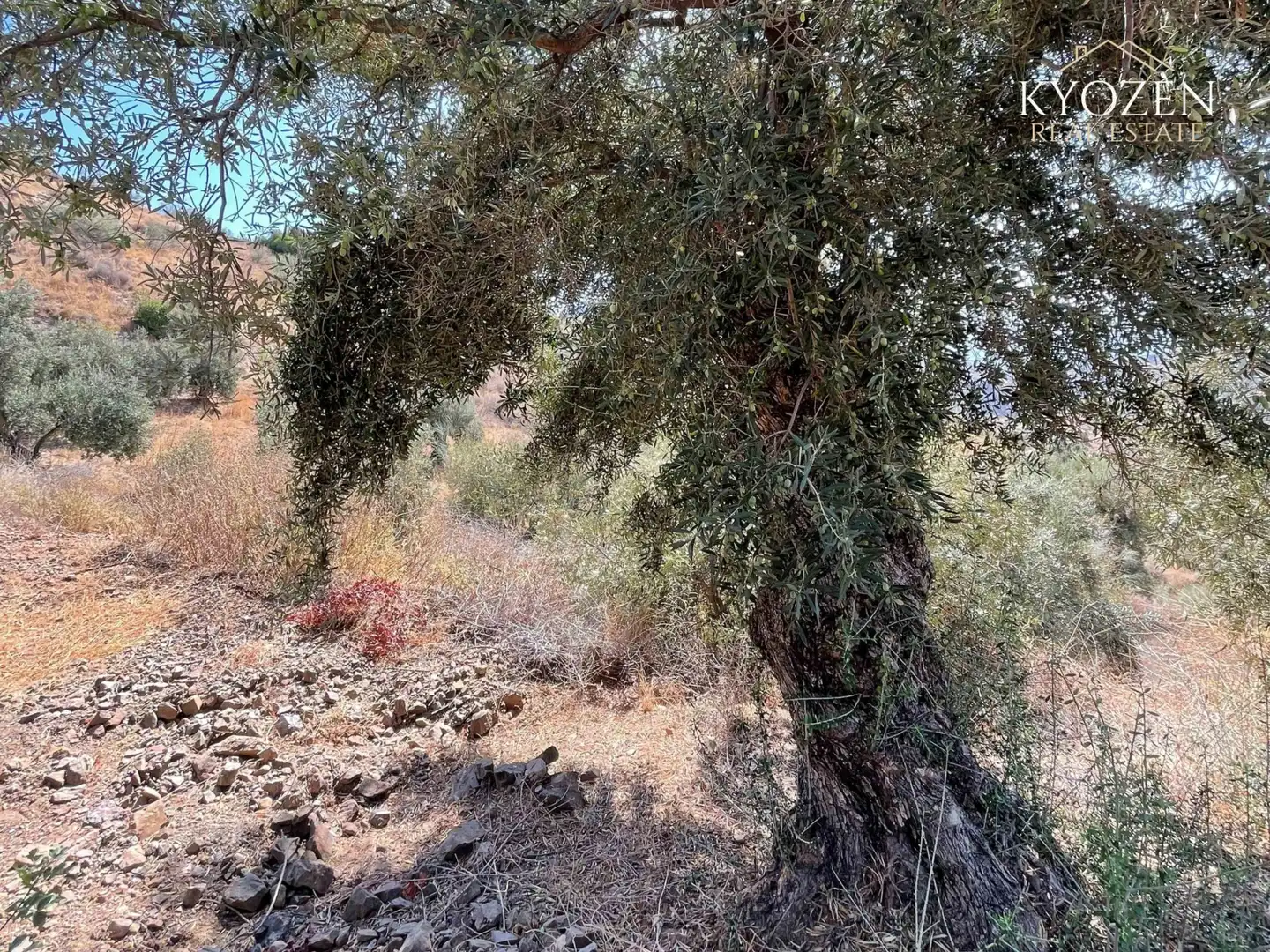 Grundstücke zum Verkauf in Málaga