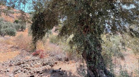 Photo 2 of Land for sale in Diseminado R5, 148, Pinares de San Antón, Málaga