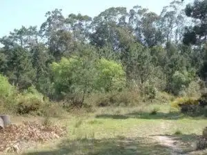 Residential land for sale in Noalla, imagen 15