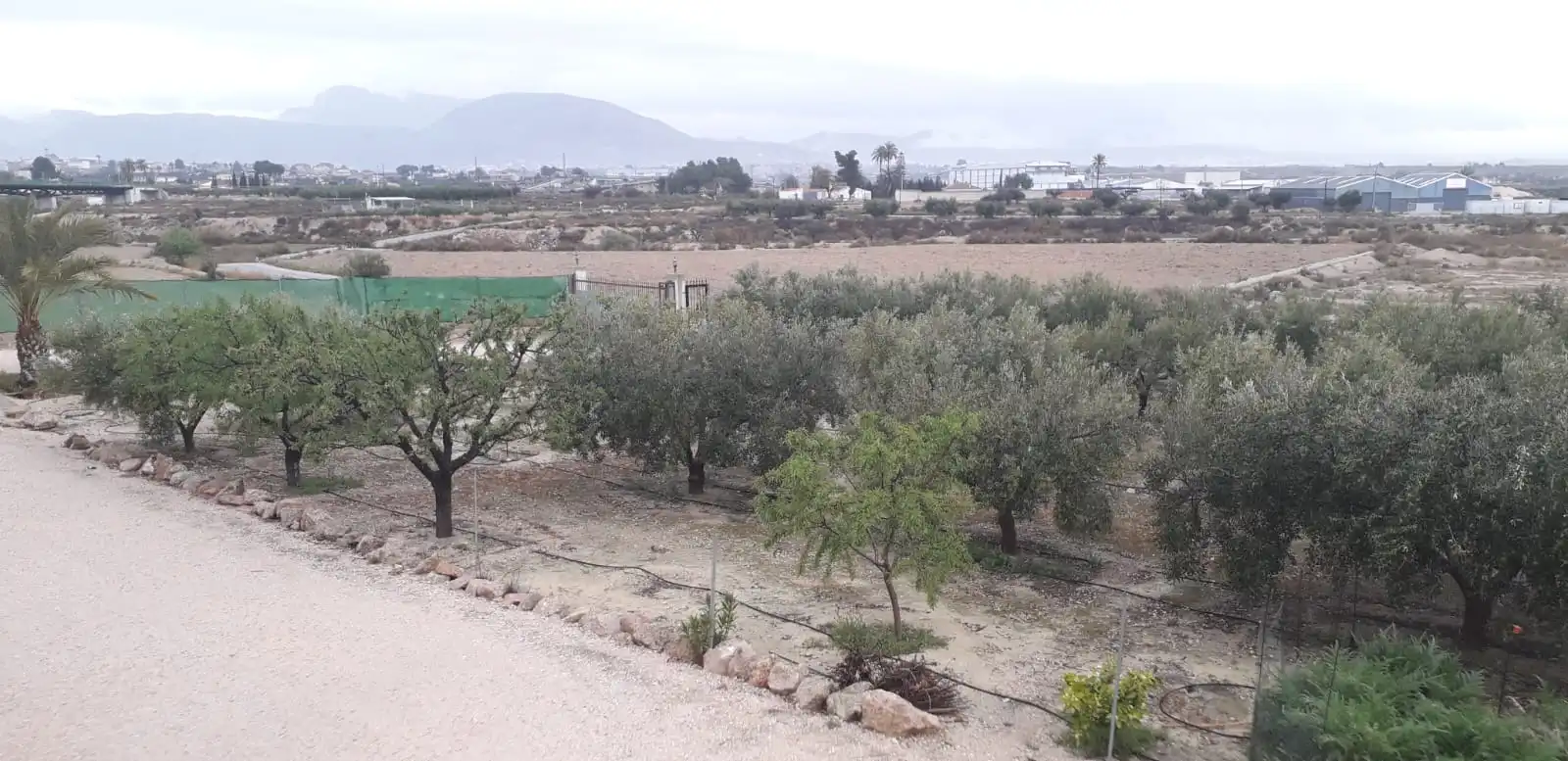 Rural land for sale in Fortuna, imagen 27