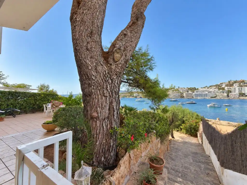 House with garden to rent in Via Creu, imagen 21