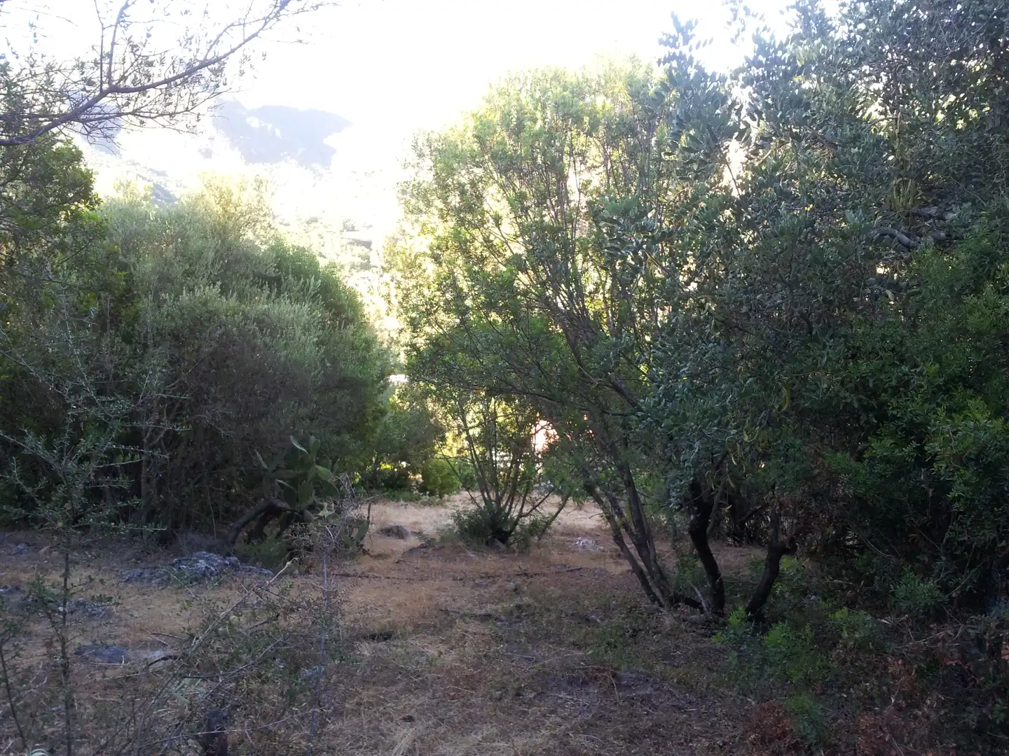 Finca rústica en venta en Ubrique