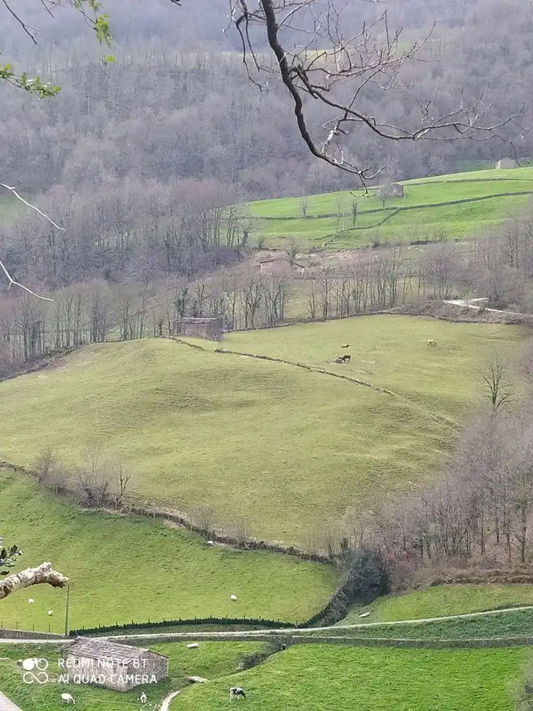 Casa o xalet en venda en Vega de Pas amb Jardí privat