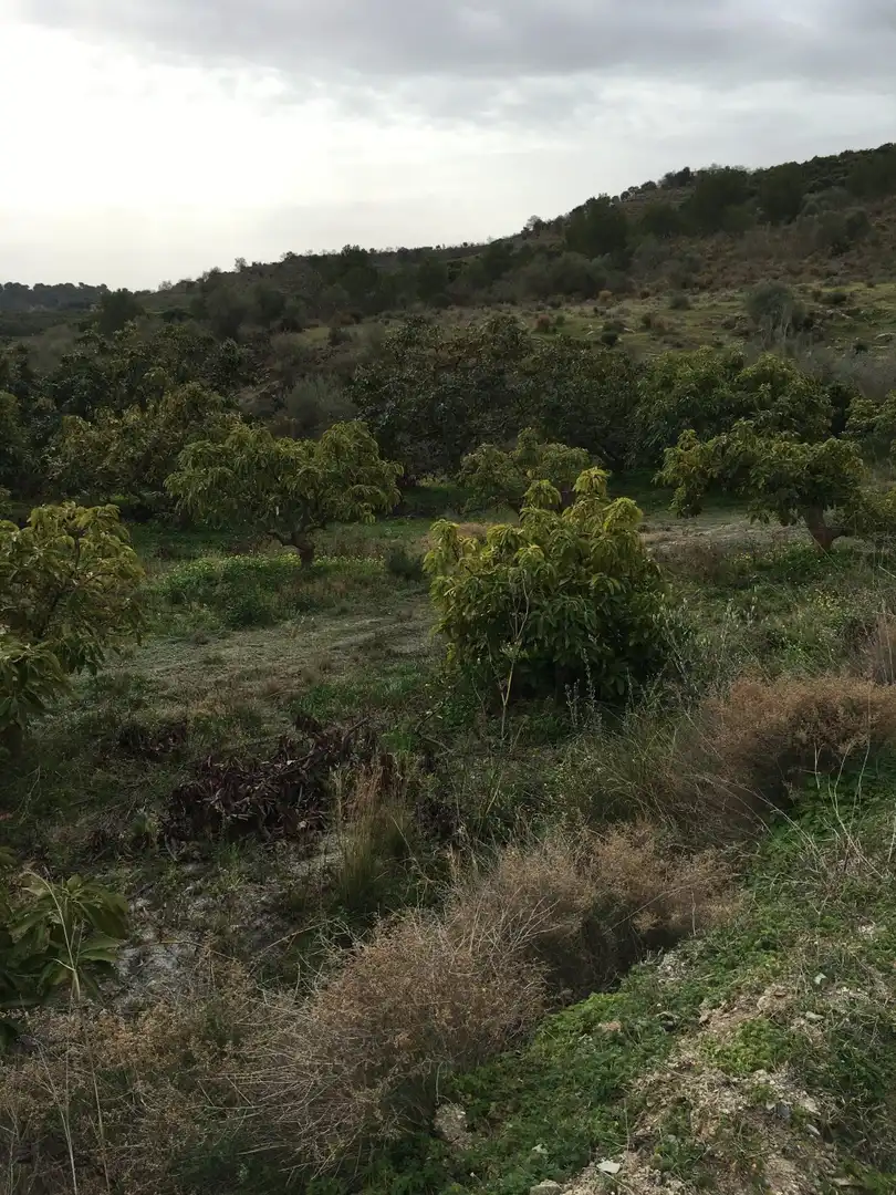Terrenys i solars en venda a Molvízar, imagen 3