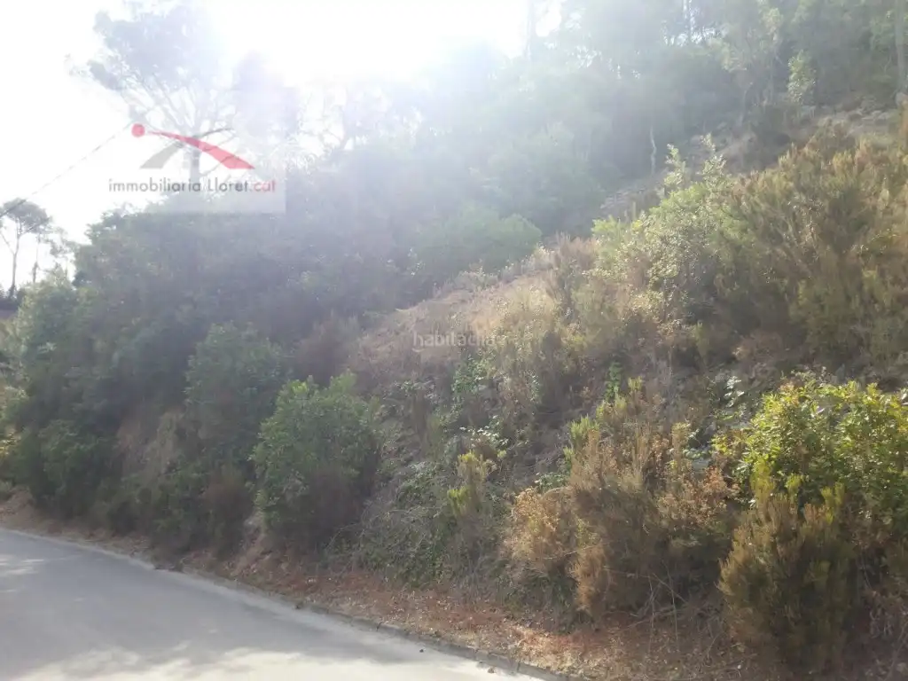 Terreno residencial en venta en Carrer de les Orenetes 43, imagen 2