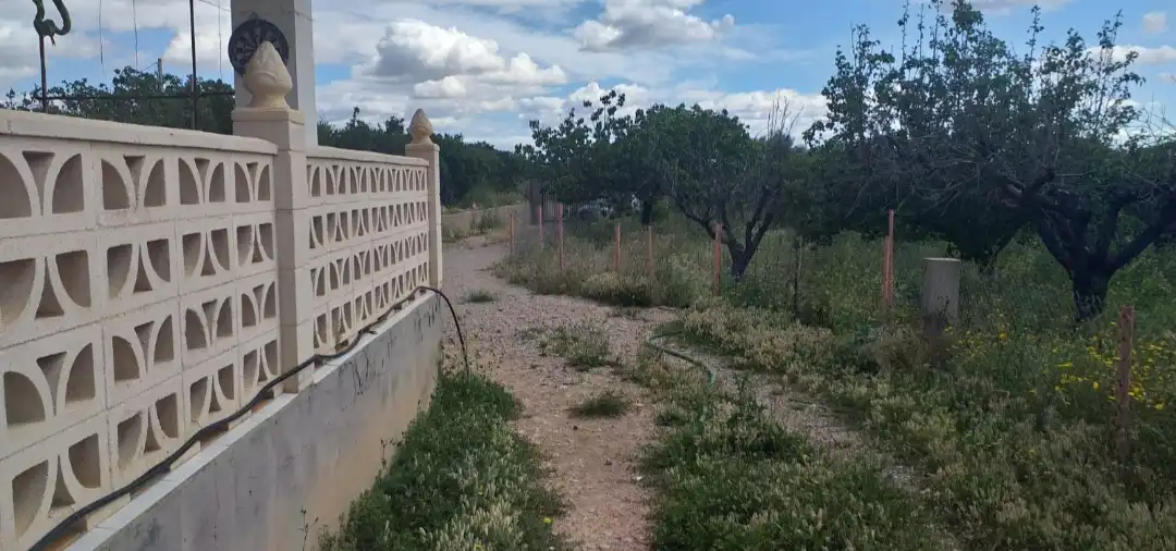 Casa o xalet en venda en Cheste amb Jardí privat i Alarma