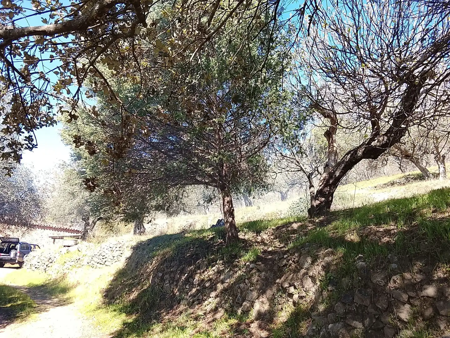 Terreni e lotti in vendita a Candeleda, imagen 36