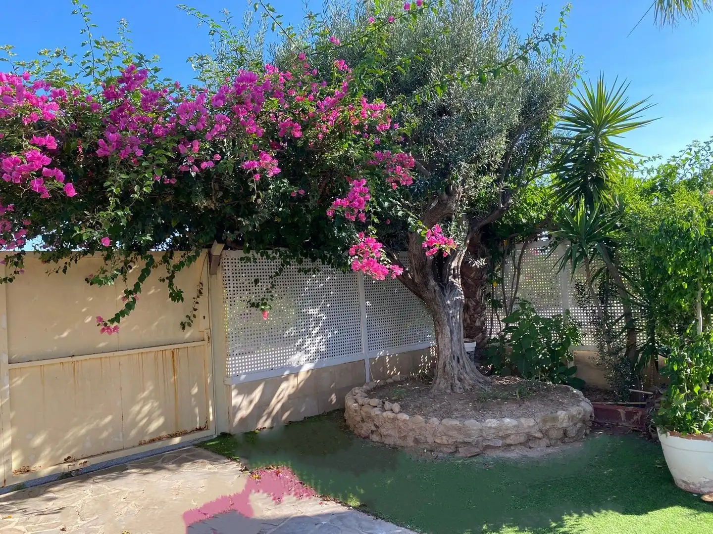Jardín de Casa o chalet en venta en Murcia con Aire acondicionado, Jardín privado y Terraza