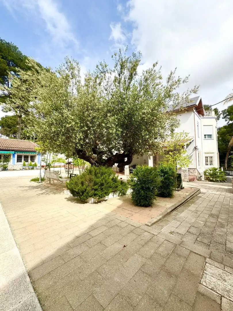 Garden of Houses for sale in Murcia  with Air Conditioner, Heating and Private garden