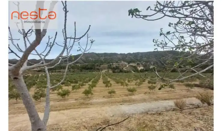 Country homes for sale in Lorca