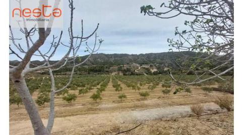 Foto 4 de Finca rústica en venda a Carrasquilla, Murcia
