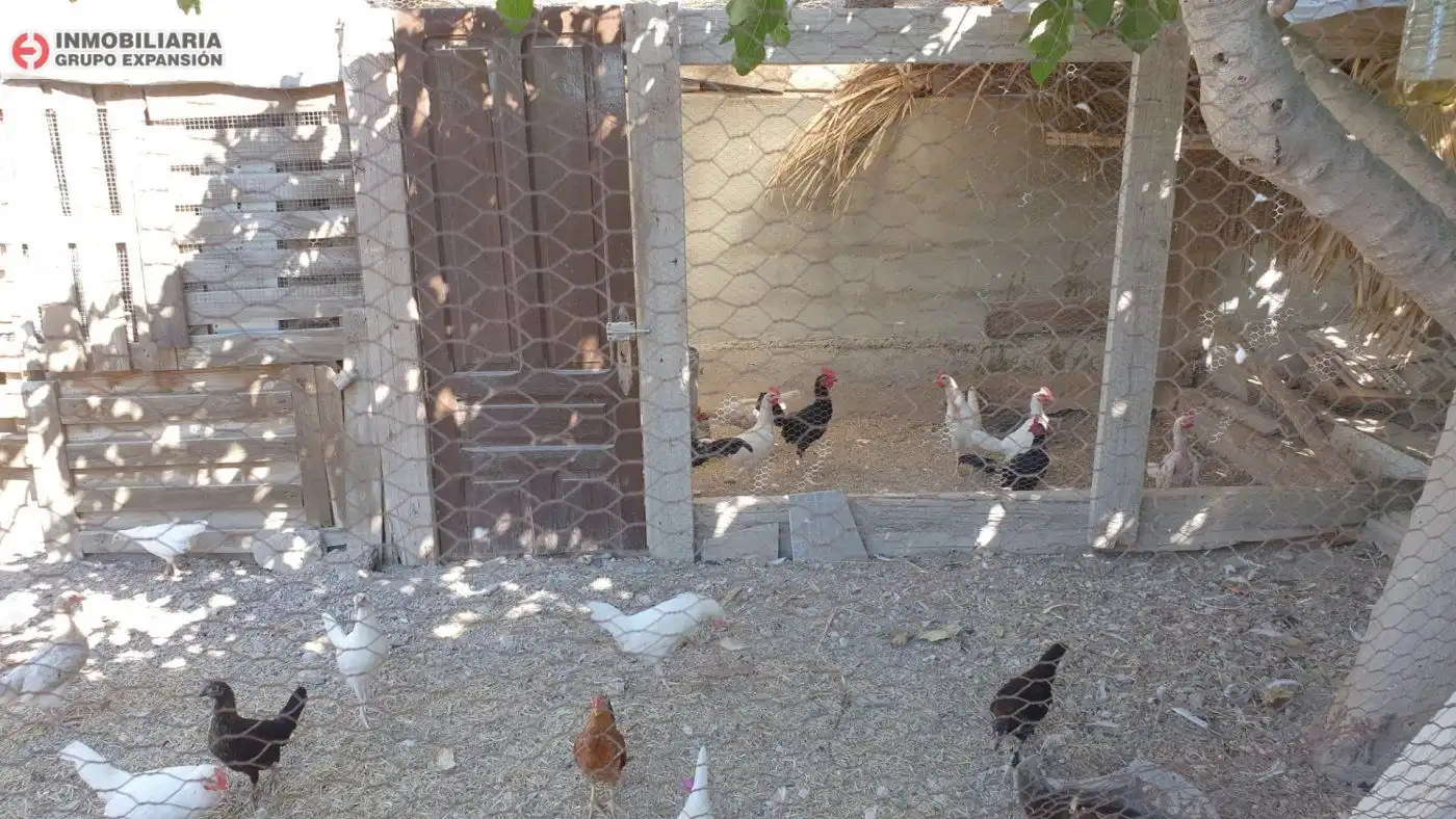 Vista exterior de Casa o xalet en venda en Elche / Elx amb Calefacció, Jardí privat i Terrassa