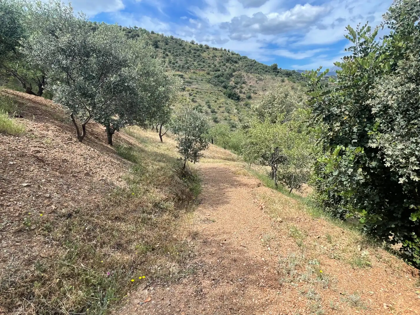 Terreno en venta en Guaro
