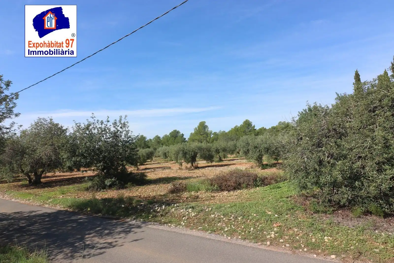Lands and plots for sale in Carrer Partida Tarrès, imagen 7