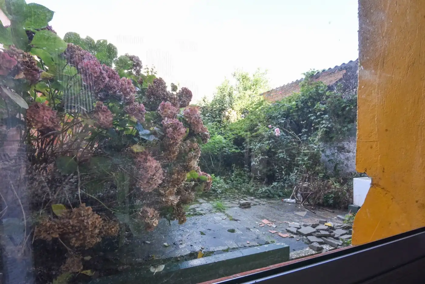 Jardí de Casa o xalet en venda en A Coruña Capital  amb Jardí privat, Traster i Alarma