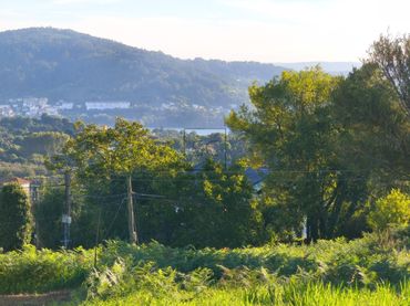 Terreno residenziale in vendita a Camino de la Pedreira