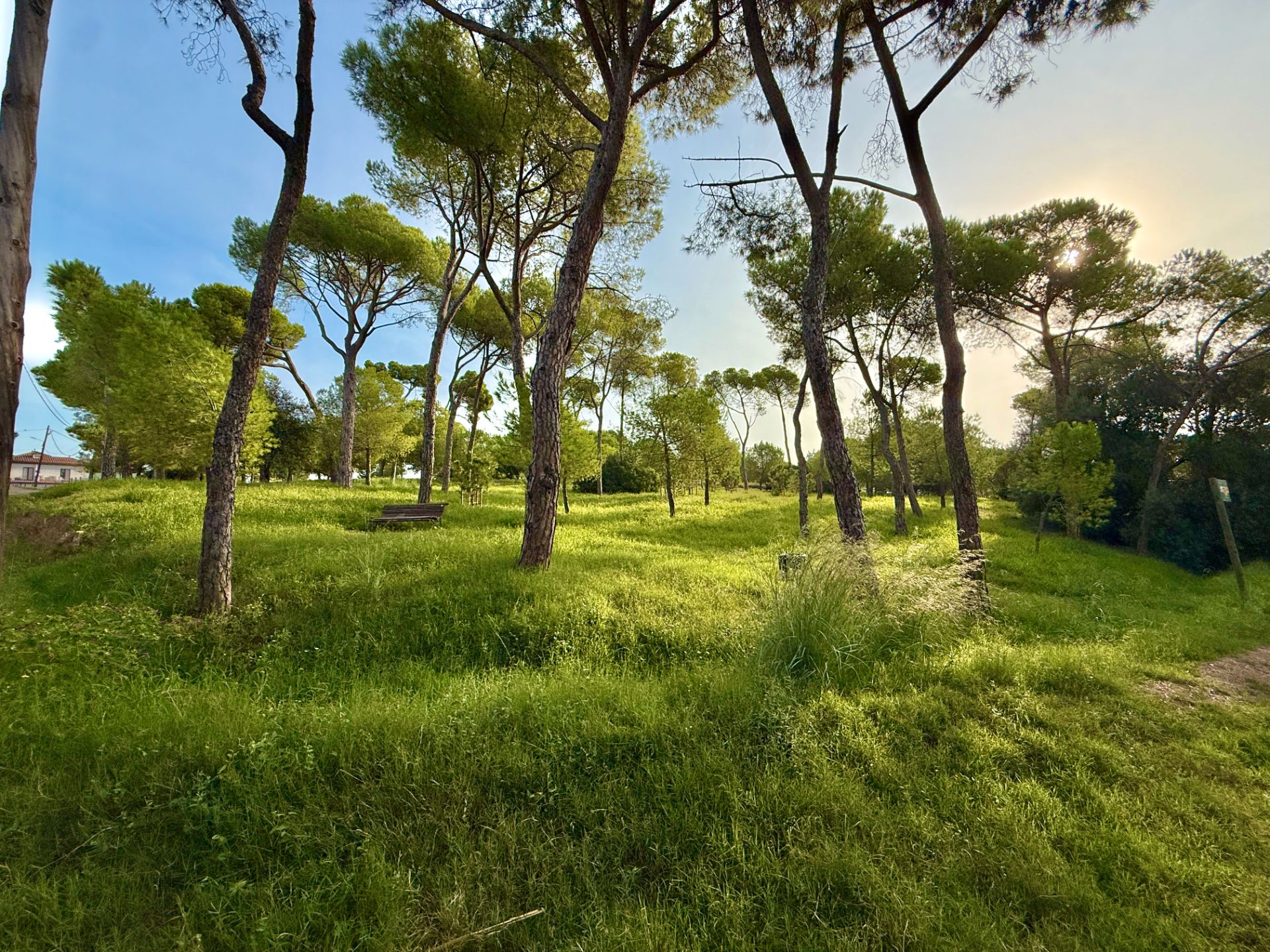 Residencial en venta en Santa Coloma de Cervelló