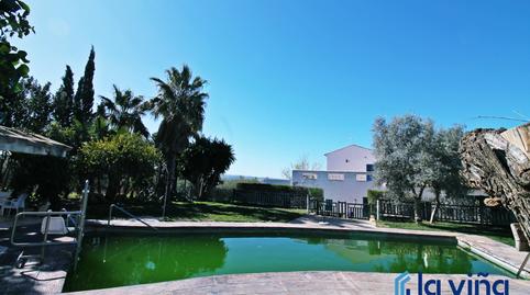 Foto 4 de Finca rústica en venta en Martín de la Jara, Sevilla