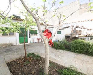 Jardí de Finca rústica en venda en Tomelloso