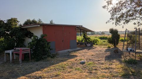 Immagine 2 dell'annuncio