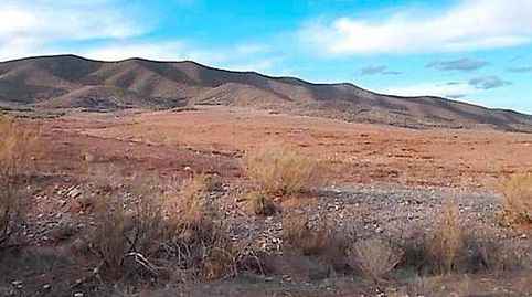 Terreno en venta en lugar Campillo del Marchante Sn, Pg 33, Pc 31, immagine 3