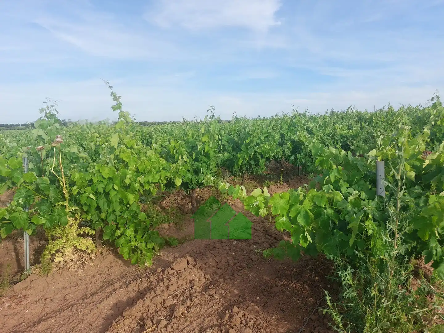 Terreni e lotti in vendita a Guadiana, imagen 7