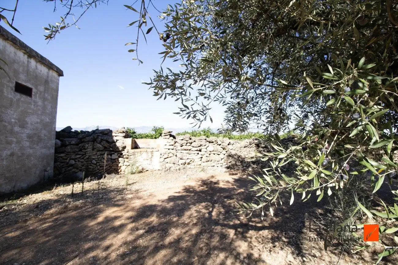 Terreno rustico in vendita a La Galera, imagen 3