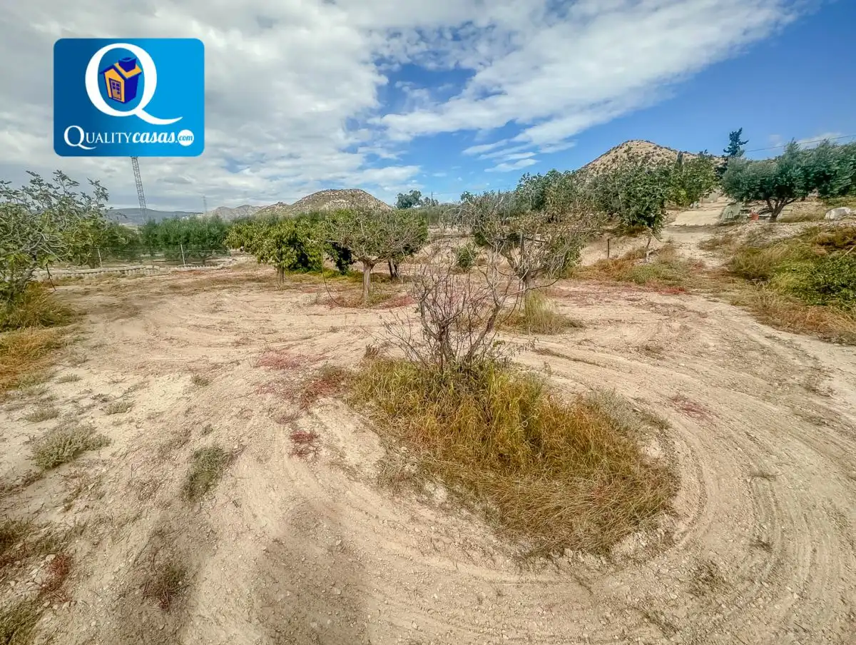 Lands and plots for sale in Partidas de Alicante, imagen 12