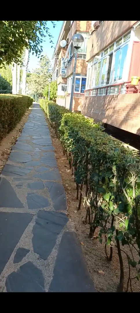 Flat with lift for sale in Calle HONORIO LOZANO, imagen 54