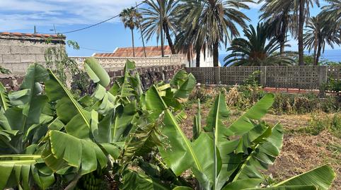 Foto 3 de Casa o xalet en venda a Carretera General Punta del Hidalgo, Punta del Hidalgo, Santa Cruz de Tenerife