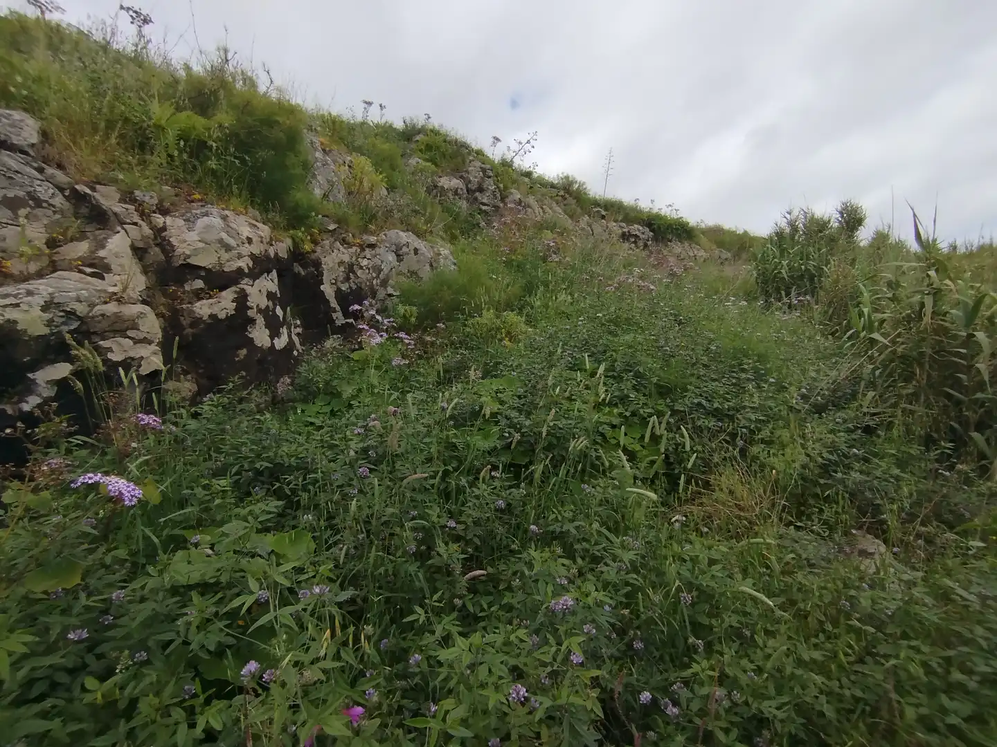 Terrain rustique à vendre à Calle Melian 6, imagen 26