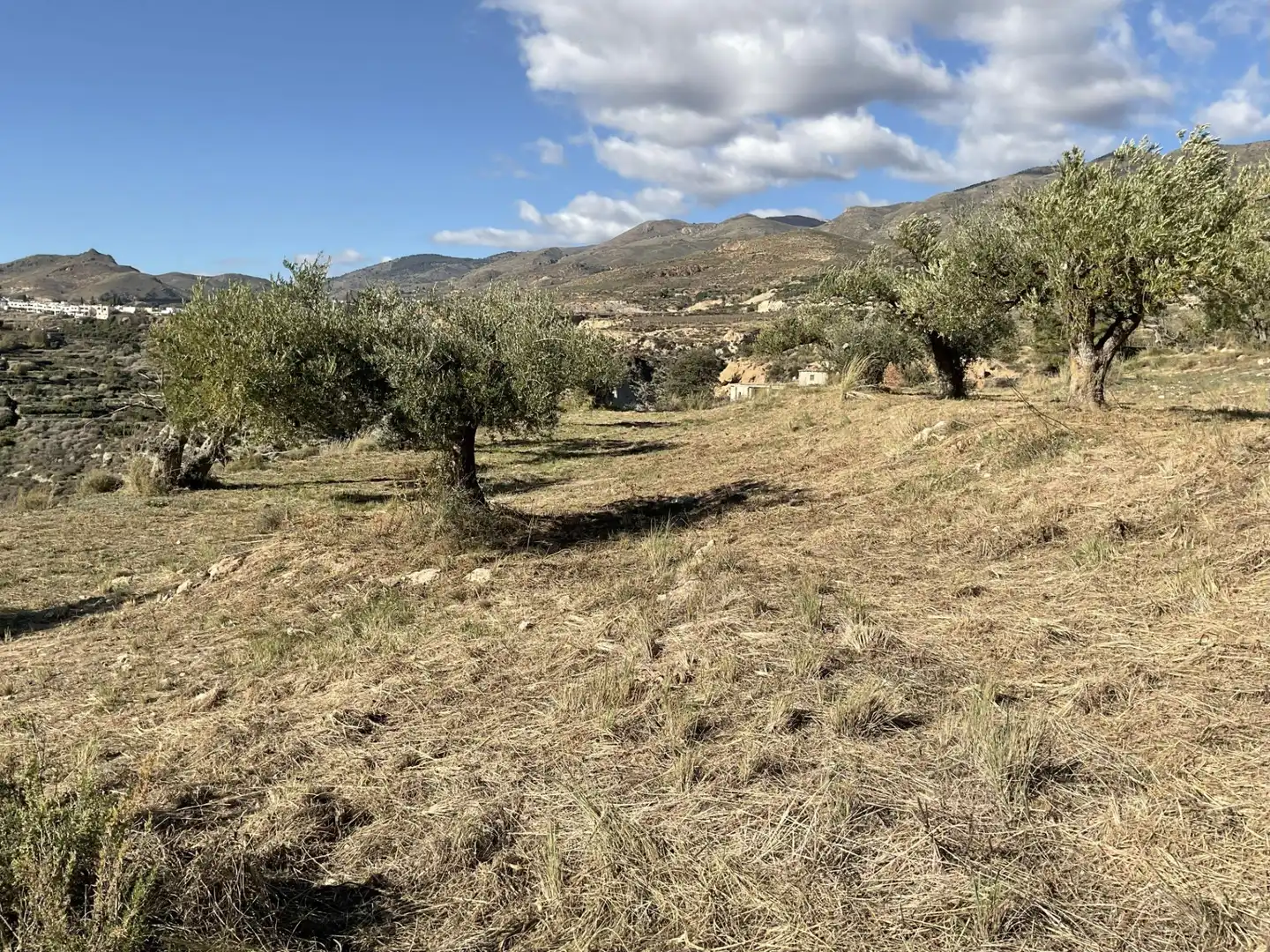 Land for sale in Padules
