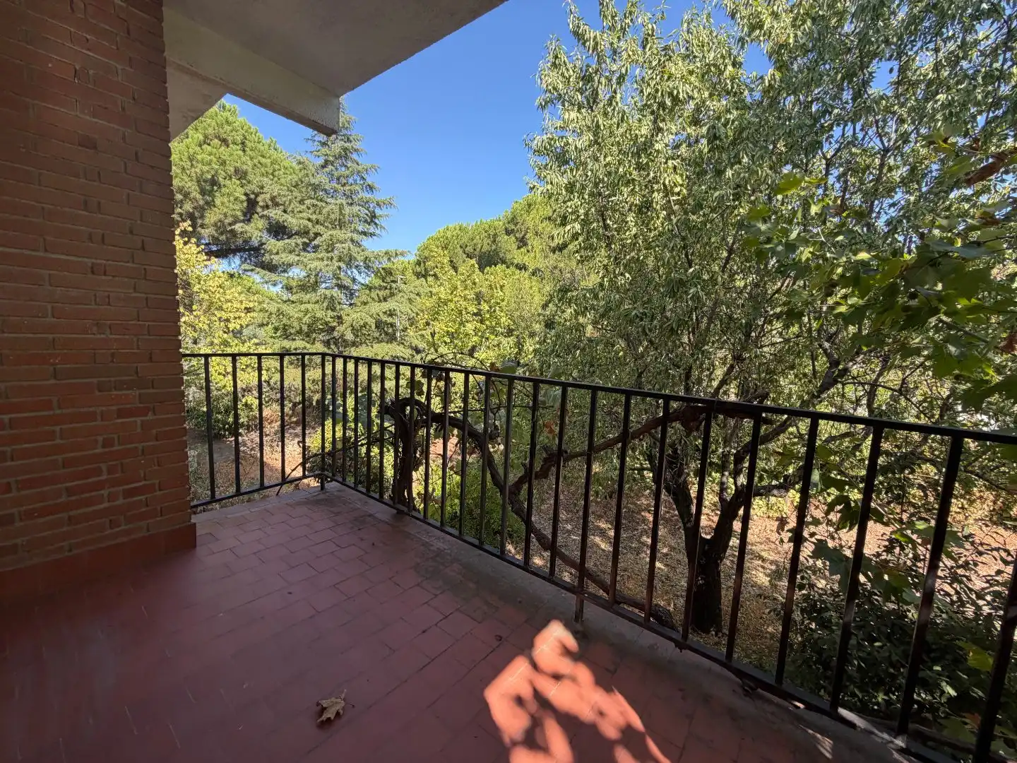 Xalet amb jardí en venda a Calle Álamo 3, imagen 3