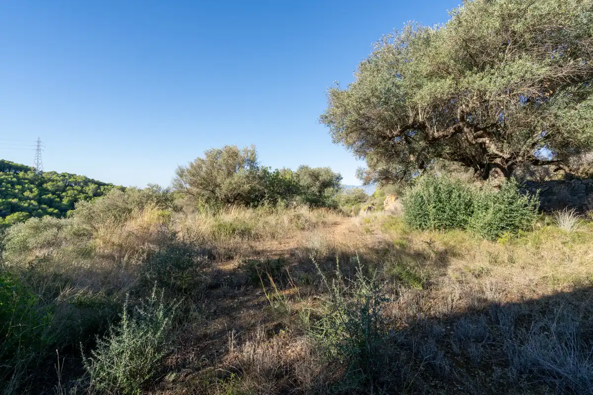 Terreny rústic en venda a Camí de la Potra de Pino 28, imagen 21
