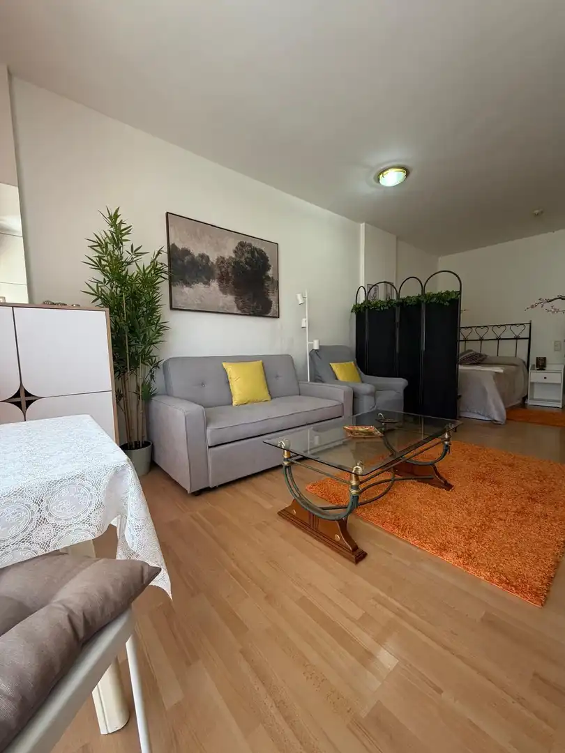 Sala d'estar de Estudi de lloguer en Puerto de la Cruz amb Parquet, Terrassa i Balcó