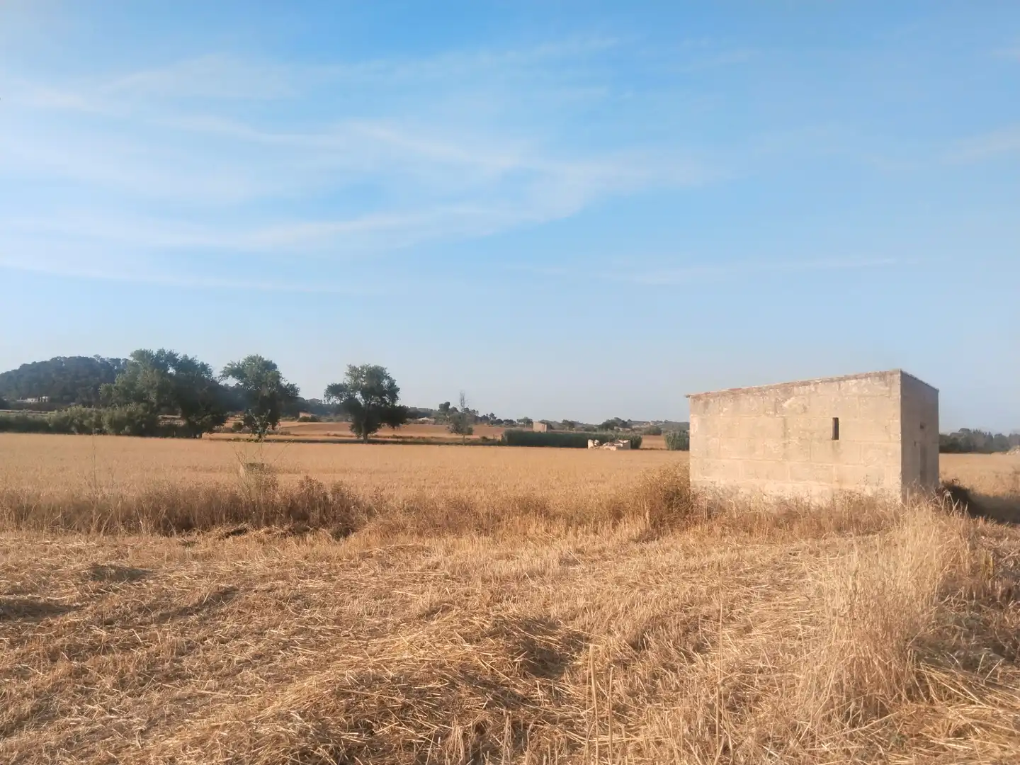 Terreno rustico in vendita a Sineu, imagen 2