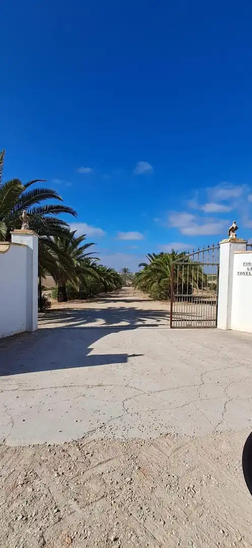 Casa rústica en venda a Arcos de la Frontera, imagen 5