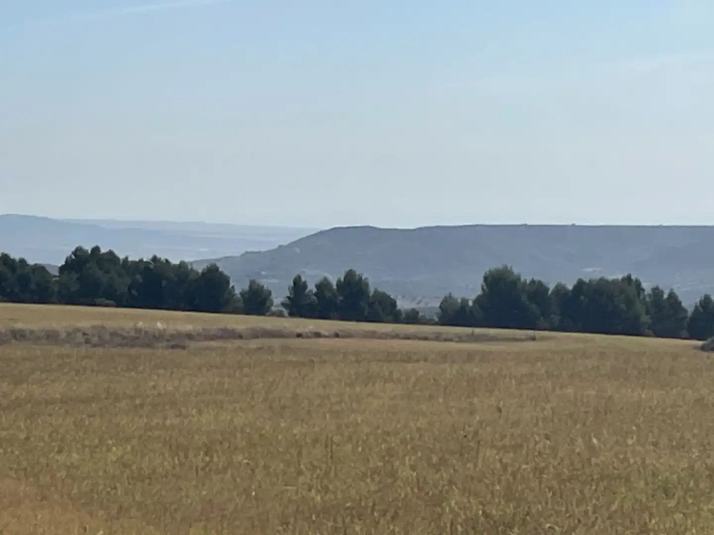 Terreno rustico in vendita a Ontígola, imagen 8