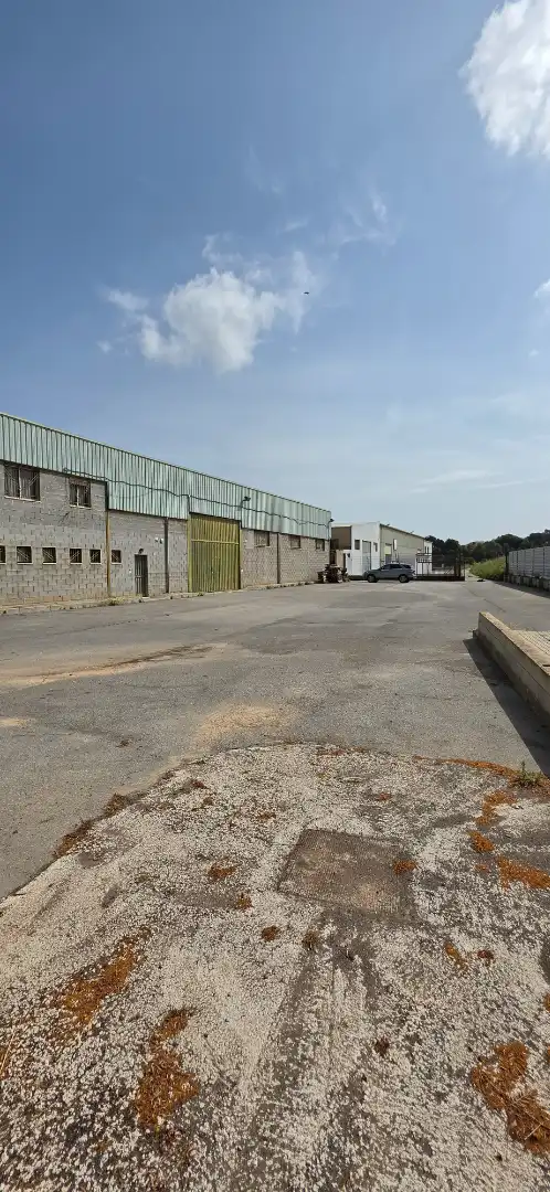 Industrial buildings for sale in Camino Entrepinos A, 4, Pedanías Este