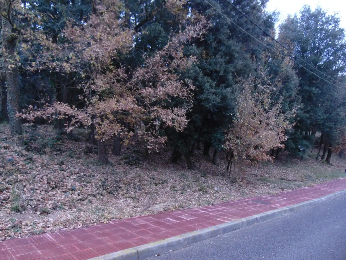 Residential land for sale in del Castell de la Popa 23, imagen 8