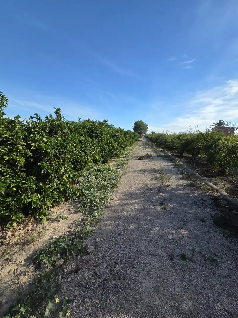 Terreno industrial en venta en Albatera