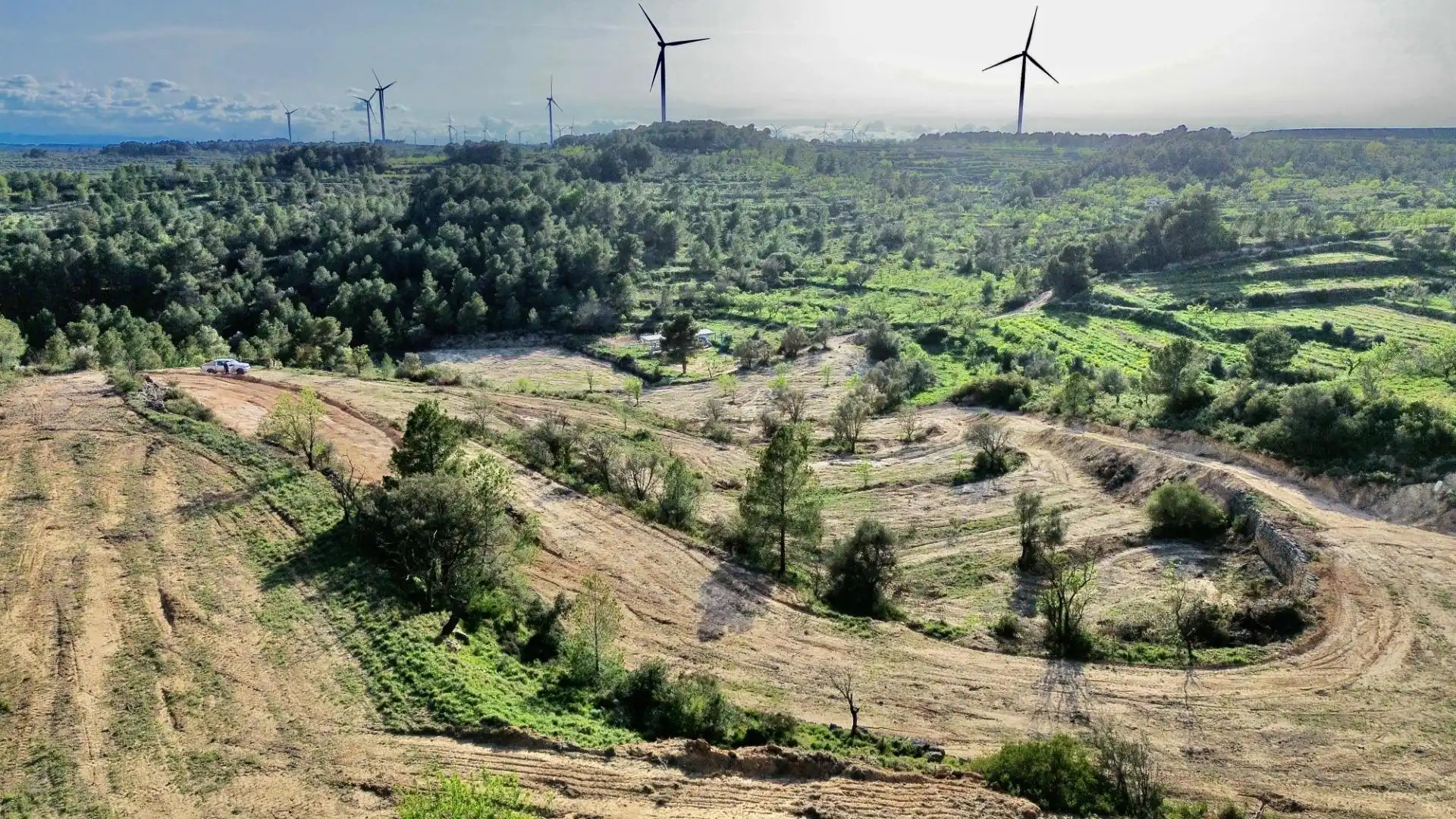 Land for sale in Gandesa