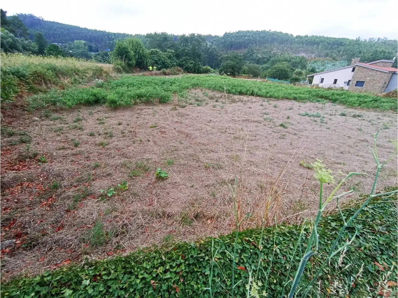 Casa o chalet en venta en Culleredo con Calefacción, Jardín privado y Trastero