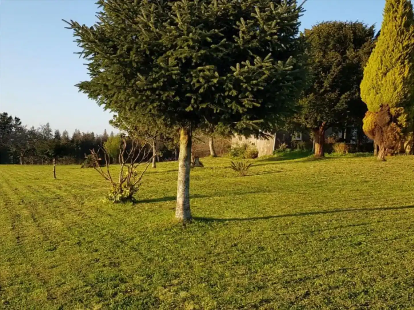 Finca rústica en venta en Monfero con Jardín privado