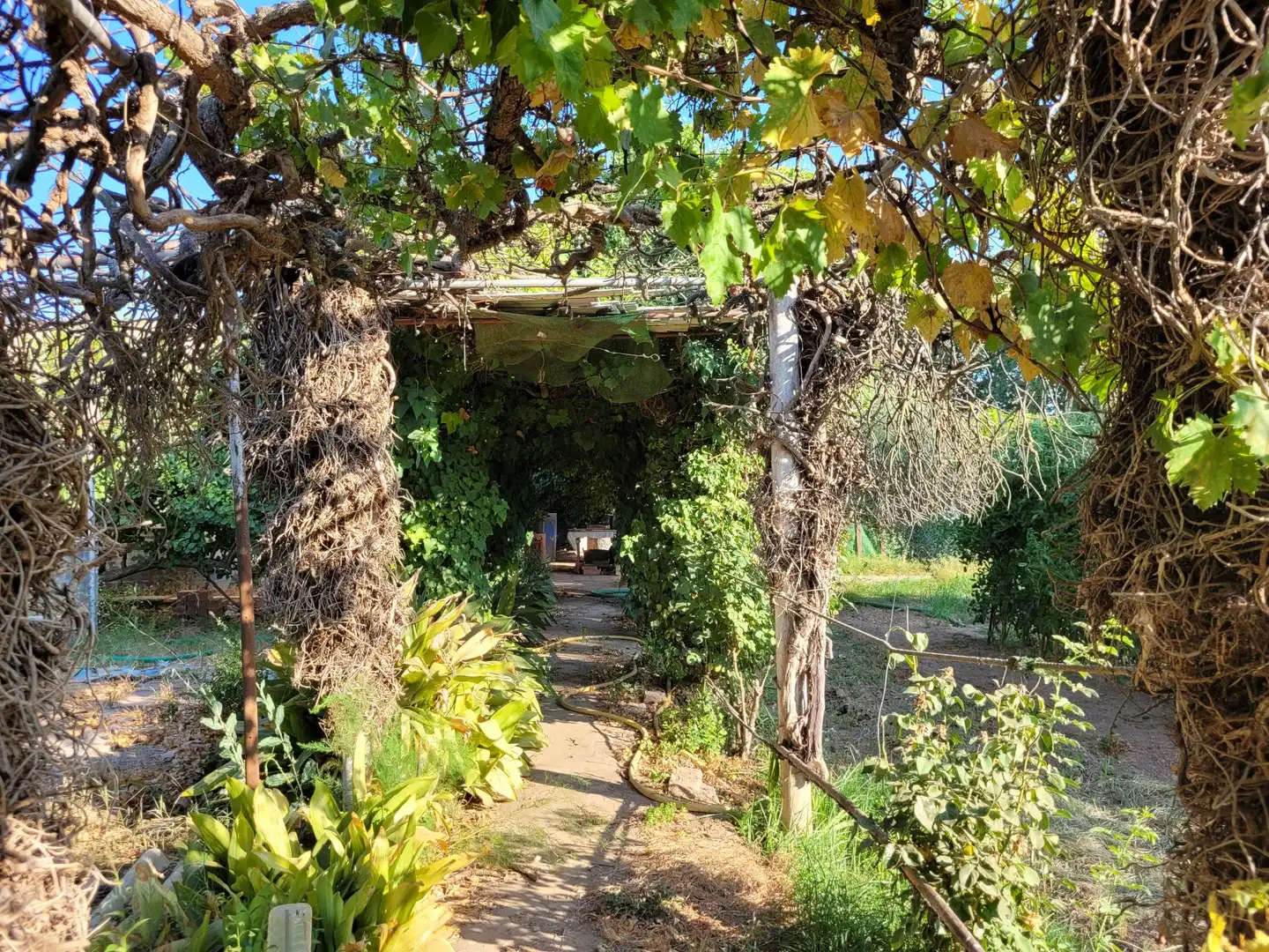 Terrenos y solares en venta en de Codis, imagen 5