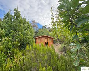 Jardí de Casa o xalet en venda en Hontanar