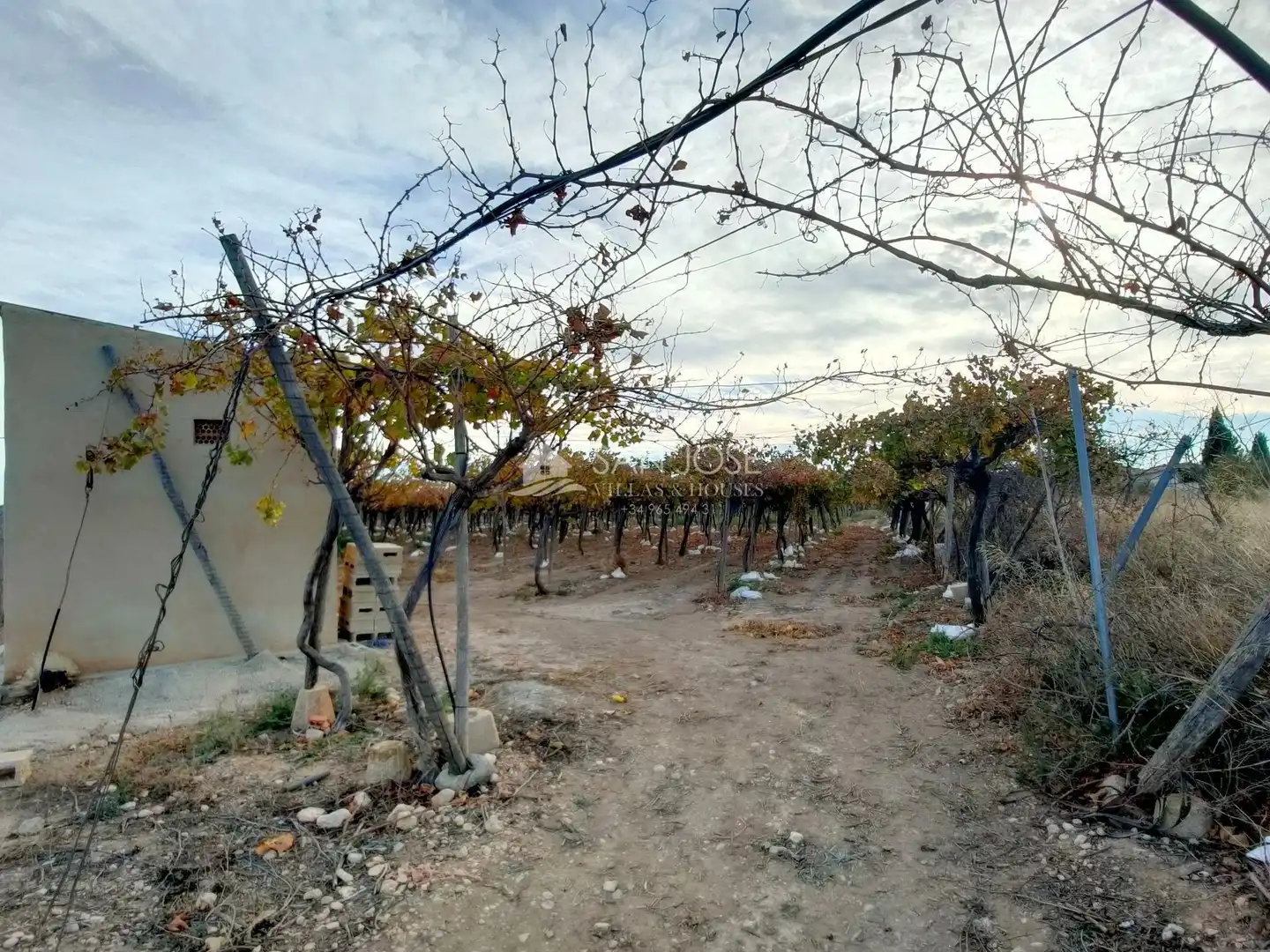 Rustikales Grundstück zum Verkauf in Pedanías Oeste, imagen 5