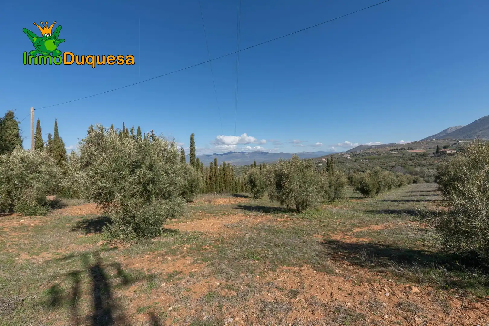Casa rústica en venda a Cogollos de la Vega, imagen 8
