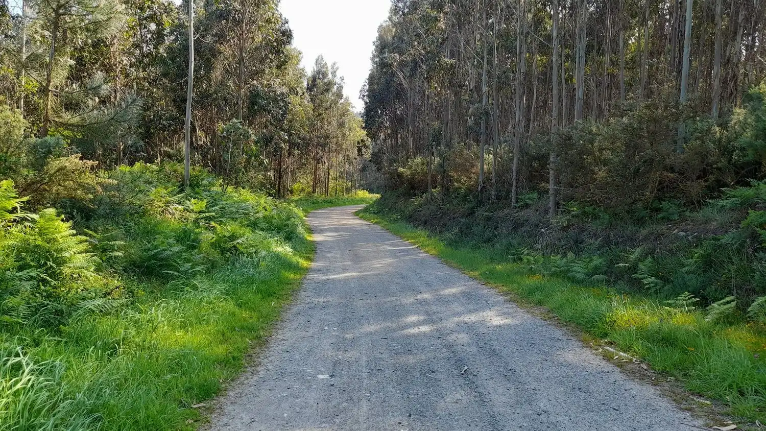 Rural land for sale in Lugar Val Arriba 3, imagen 18