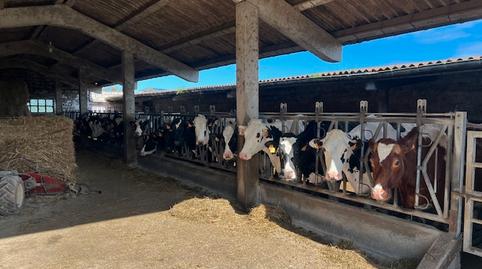 Foto 5 de Casa o xalet en venda a Barrio la Acebosa, 53, San Vicente de la Barquera, Cantabria